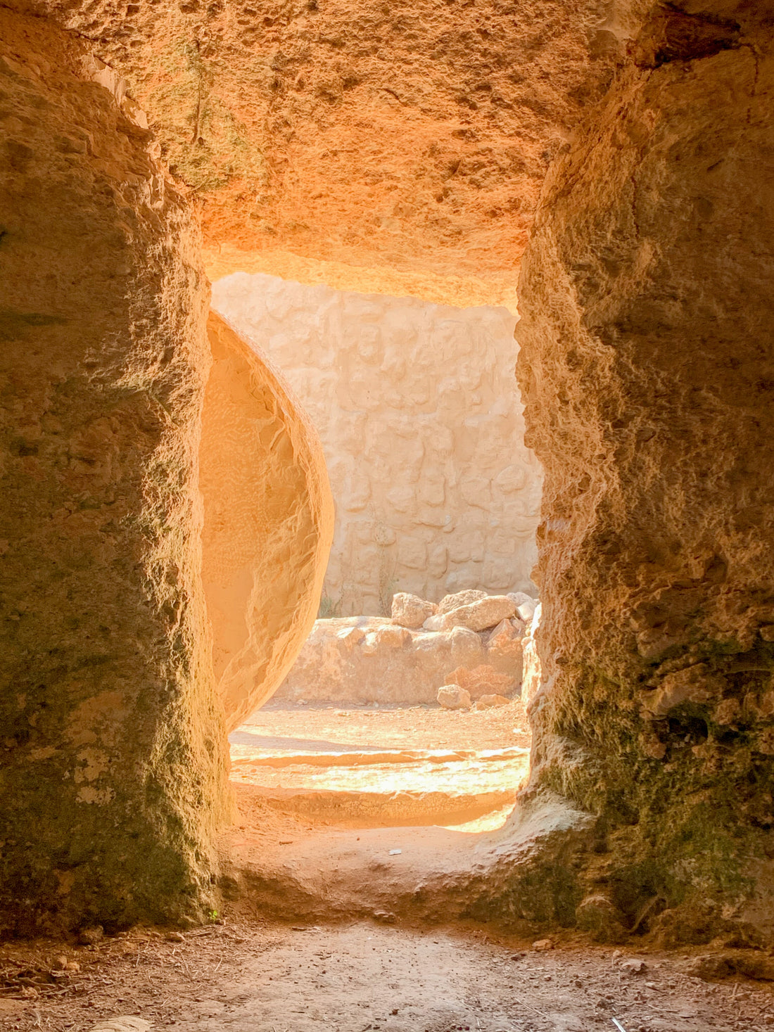 Reflexiona y acciona en la resurrección de Jesús